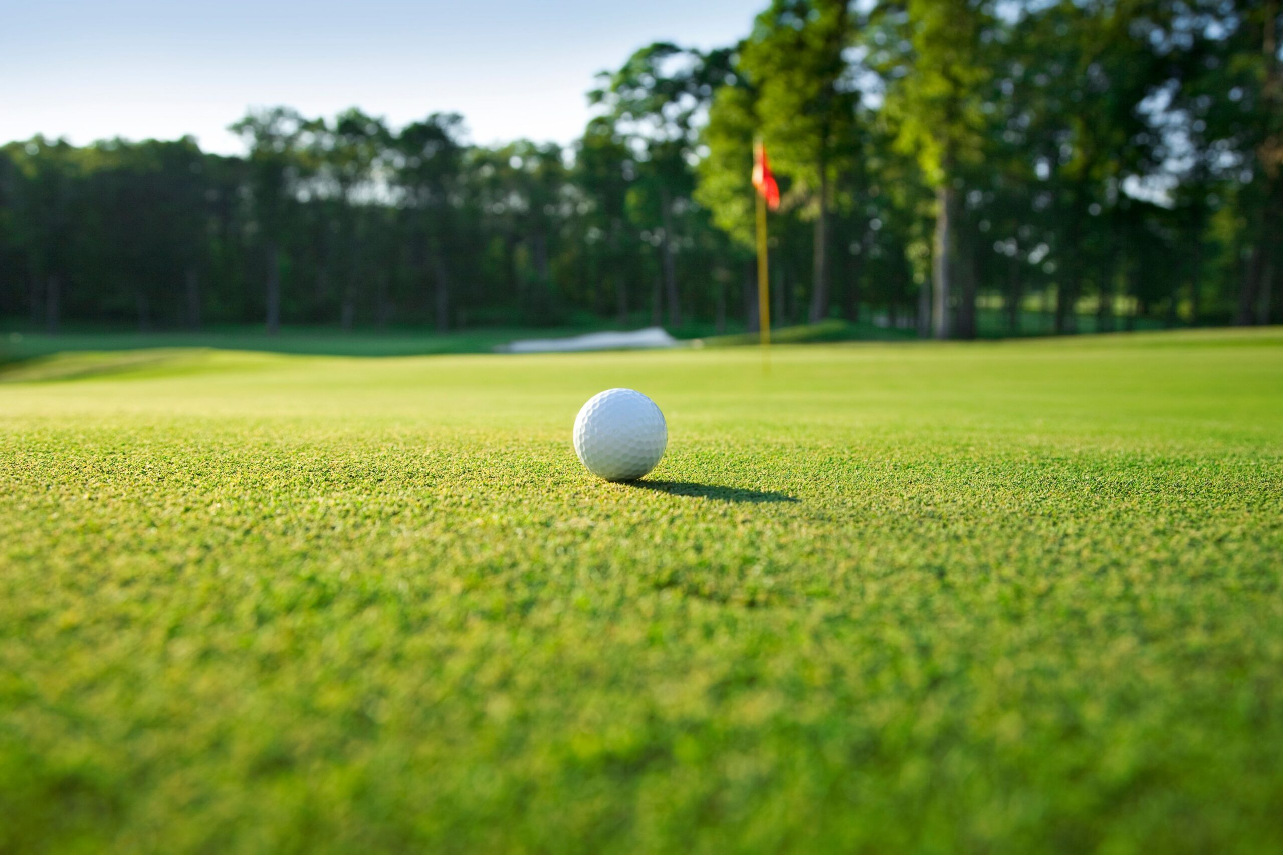 golf ball resting on putting green scaled